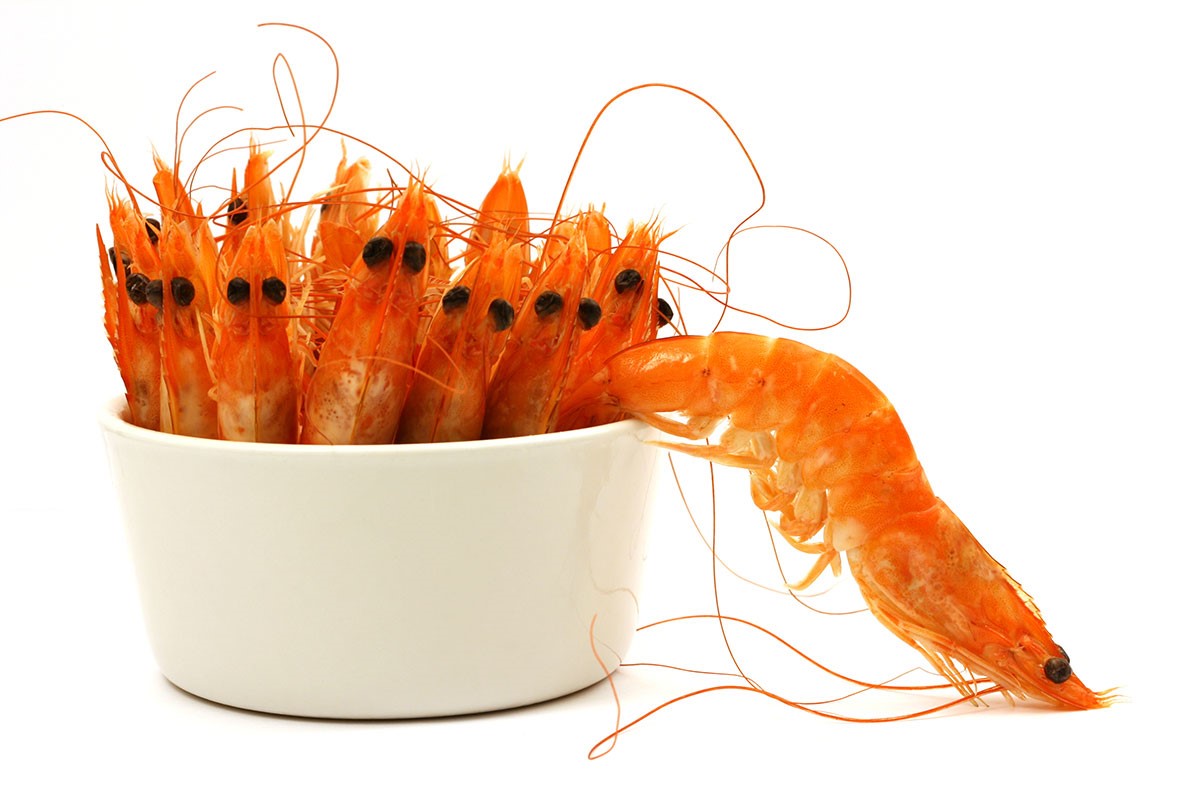 gambas_tapas_maisco